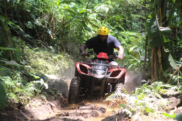 ATV COMBINED WITH VW TOUR - Image 3