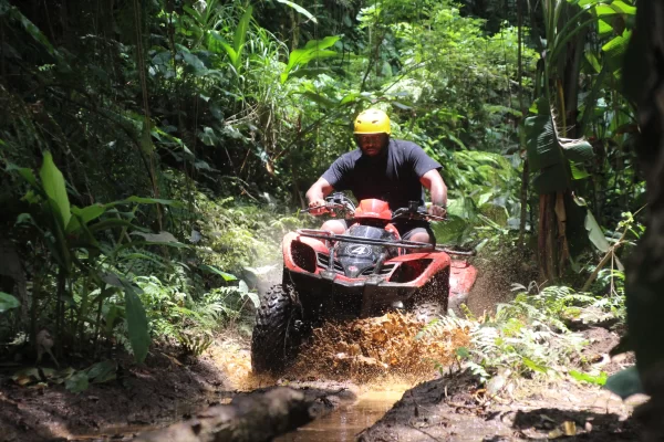 ATV COMBINED WITH VW TOUR - Image 2