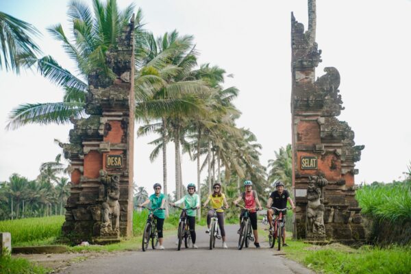 CYCLING COMBINED WITH VW TOUR - Image 2