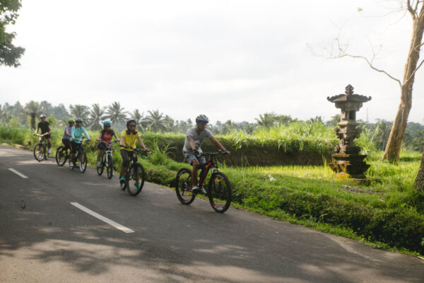 CYCLING COMBINED WITH VW TOUR - Image 6