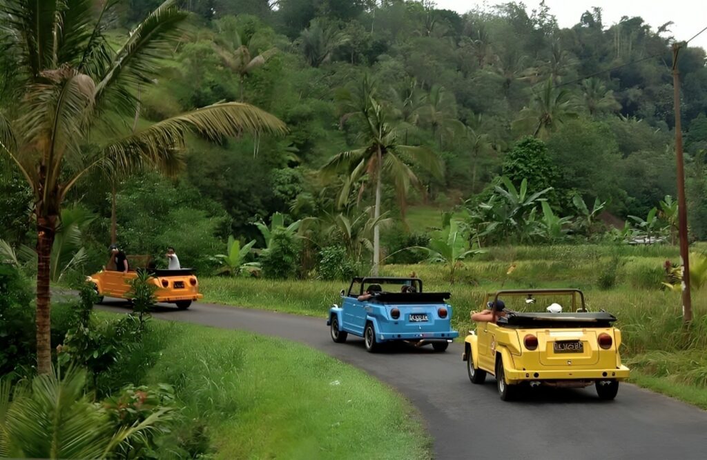 VW Tour Jatiluwih